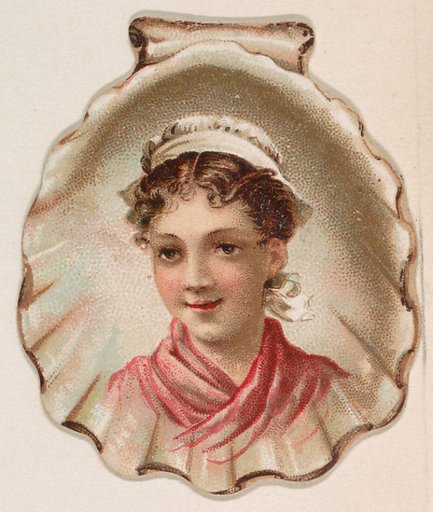 Seashell, from the Novelties series (N228, Type 3) issued by Kinney Bros.