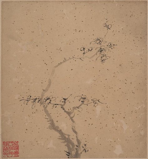 Blossoming Plum