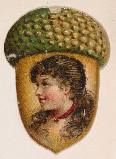 Acorn, from the Novelties series (N228, Type 4) issued by Kinney Bros.