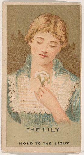 The Lily, from the Magic Changing Cards series (N223) issued by Kinney Tobacco Company