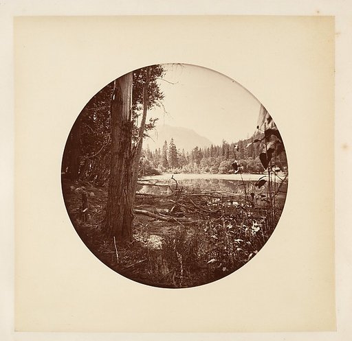 [Yosemite National Park, California]