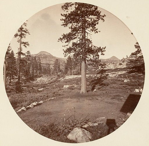 [Yosemite National Park, California]