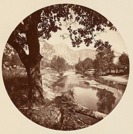 [Yosemite National Park, California]