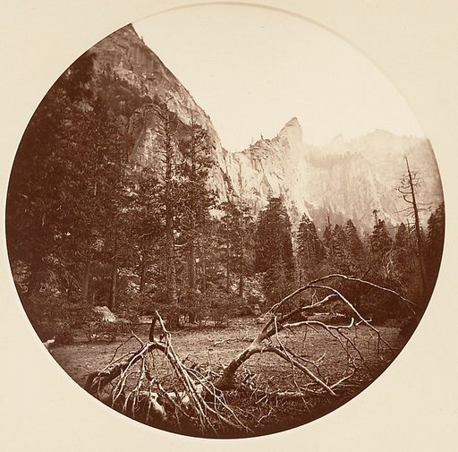 [Yosemite National Park, California]