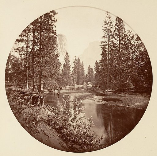 [Yosemite National Park, California]