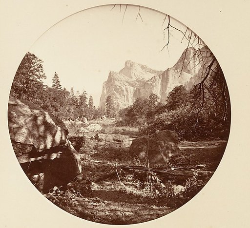 [Yosemite National Park, California]