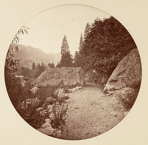 [Yosemite National Park, California]