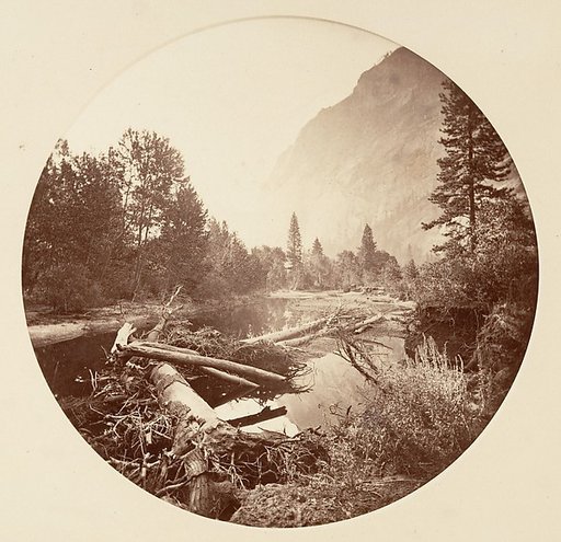 [Yosemite National Park, California]