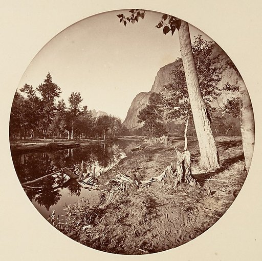 [Yosemite National Park, California]