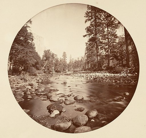 [Yosemite National Park, California]