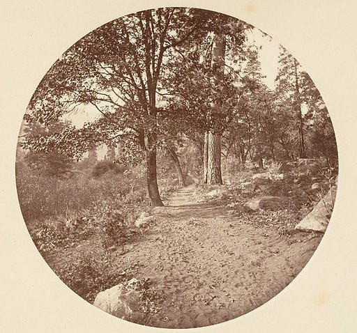 In the Yosemite Valley