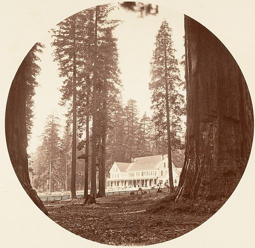 W. C. Bryant - Calaveras Grove