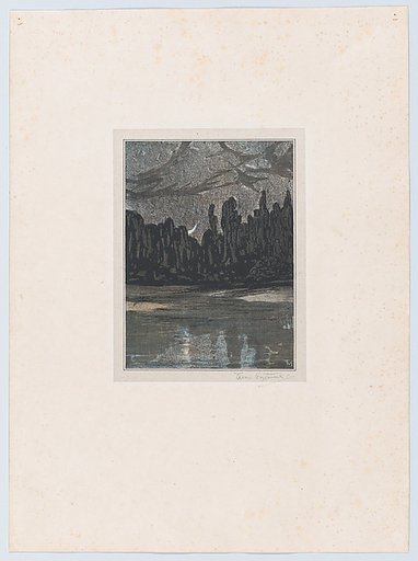 Migratory Birds on a Moonlit Night