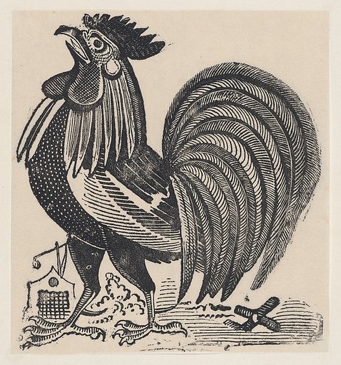 A rooster