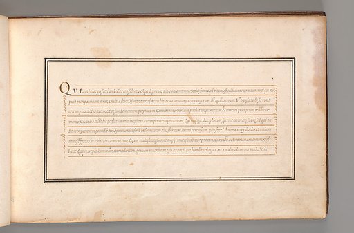 Calligraphic Exercise in Latin (Cursive Script)