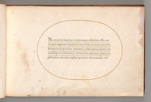 Calligraphic Exercise in Latin