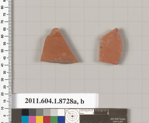 Terracotta fragments of kylikes (drinking cups)?