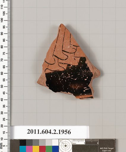 Terracotta fragment of a pelike (jar)?