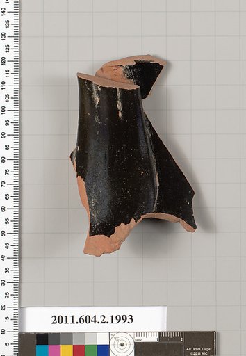 Terracotta fragment of a pelike (jar)?