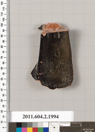 Terracotta fragment of a pelike (jar)?