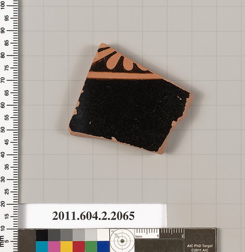 Terracotta fragments of an amphora (jar)?