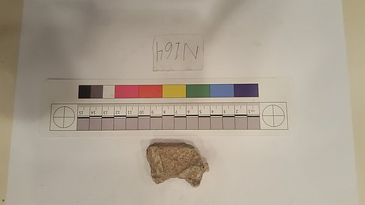Stucco Fragment