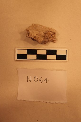 Stucco Fragment