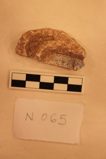 Stucco Fragment
