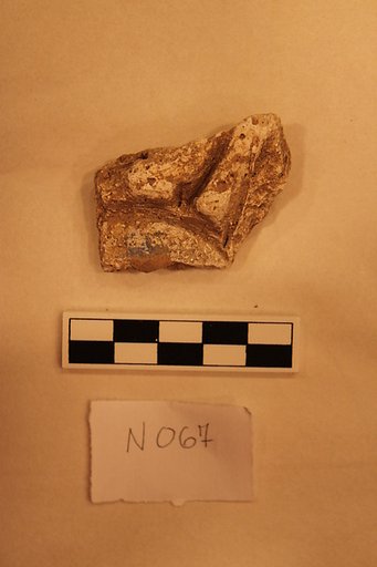 Stucco Fragment