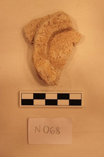 Stucco Fragment