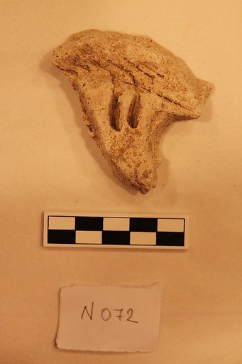 Stucco Fragment