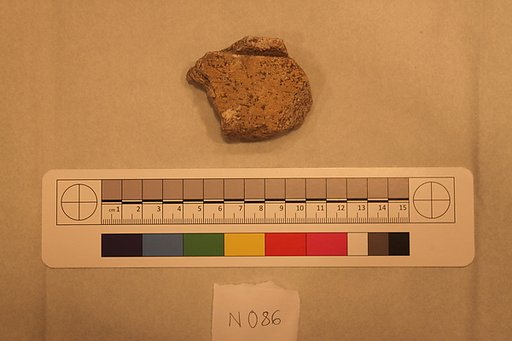Stucco Fragment