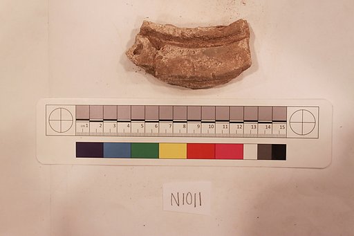 Stucco Fragment