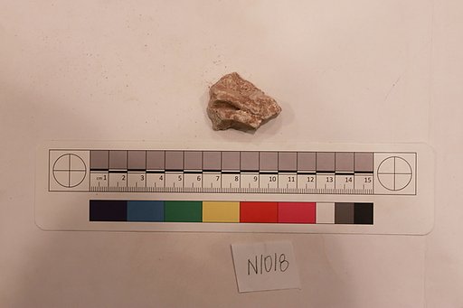 Stucco Fragment