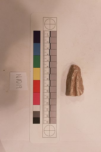 Stucco Fragment