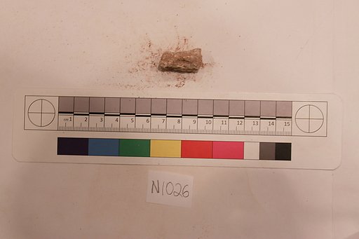 Stucco Fragment