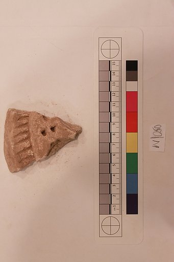 Stucco Fragment