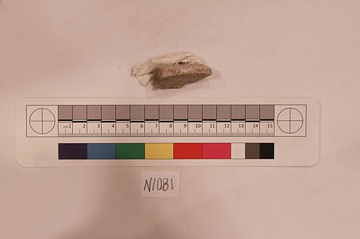 Stucco Fragment