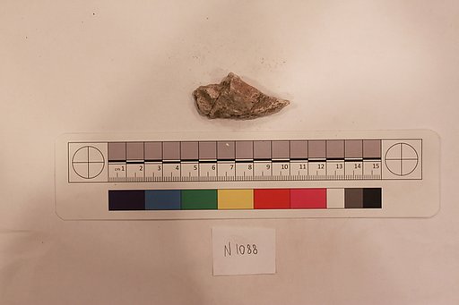 Stucco Fragment