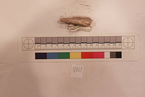 Stucco Fragment