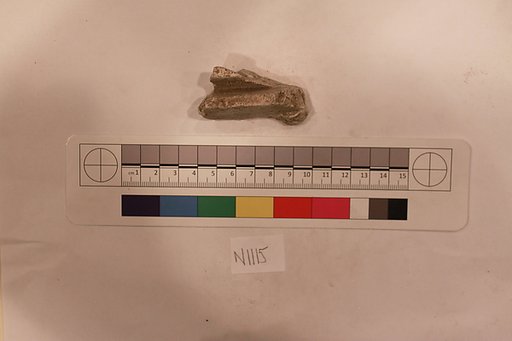 Stucco Fragment
