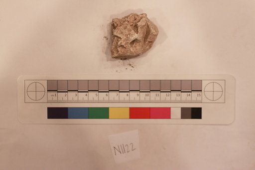 Stucco Fragment