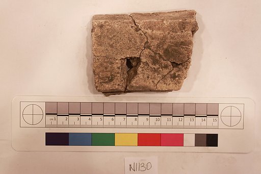 Stucco Fragment