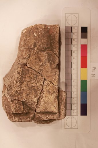 Stucco Fragment