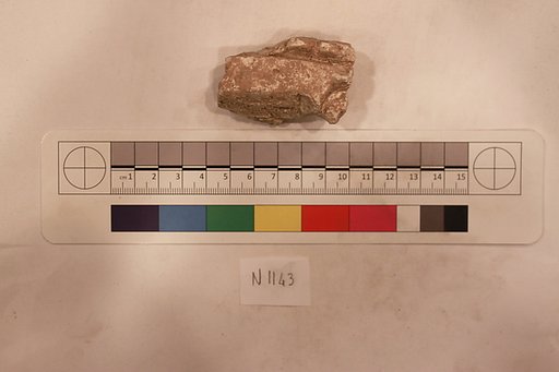 Stucco Fragment