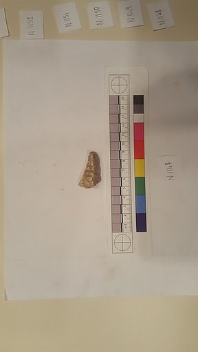 Stucco Fragment