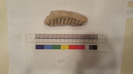 Stucco Fragment