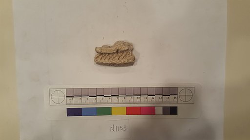 Stucco Fragment