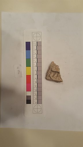 Stucco Fragment