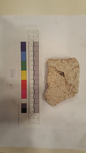Stucco Fragment